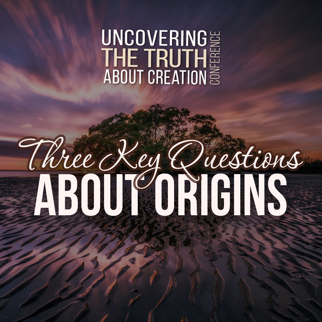 Three Key Questions About Origins