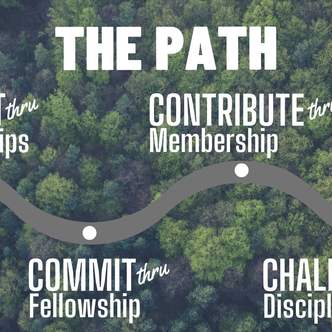 Contribute & Challenge episode artwork