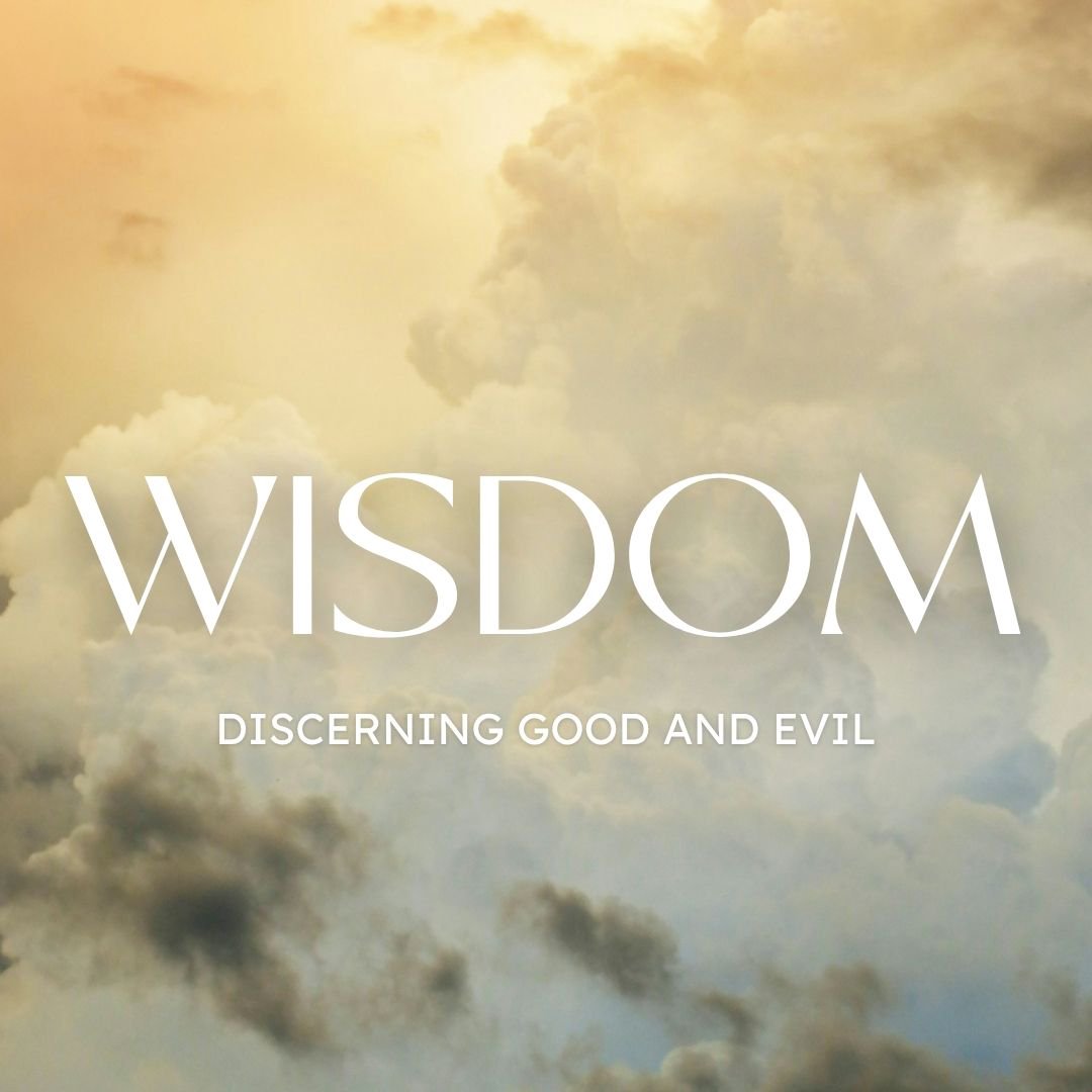 Wisdom - Discerning Good And Evil | Part 2