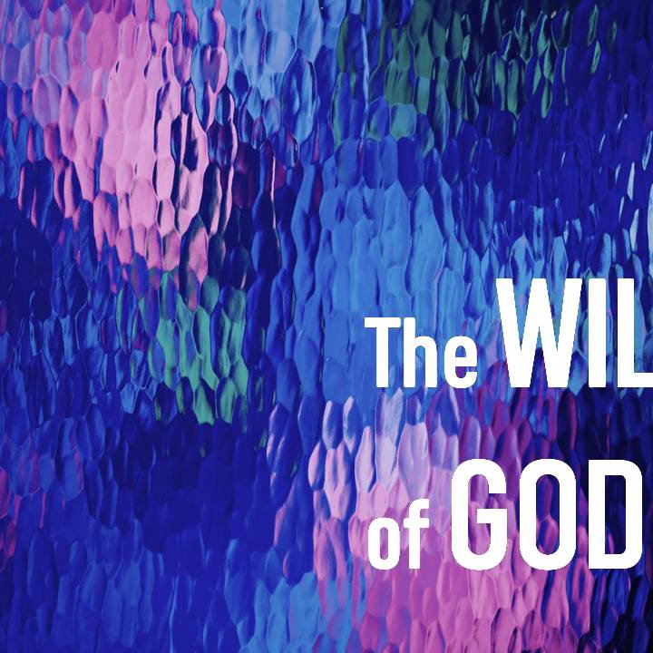 The Will Of God episode artwork