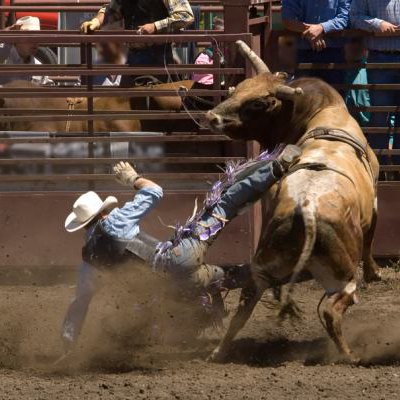The Bull Rider