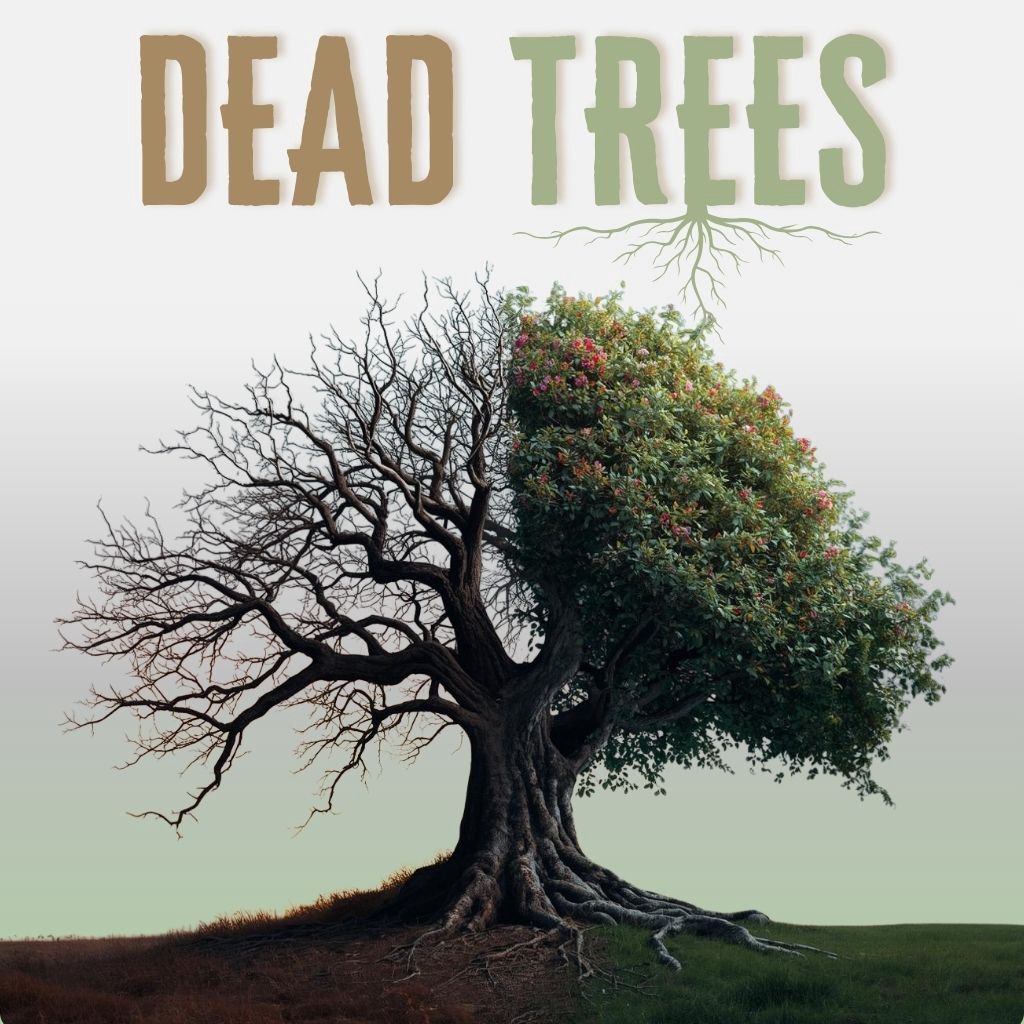 Dead Trees episode artwork