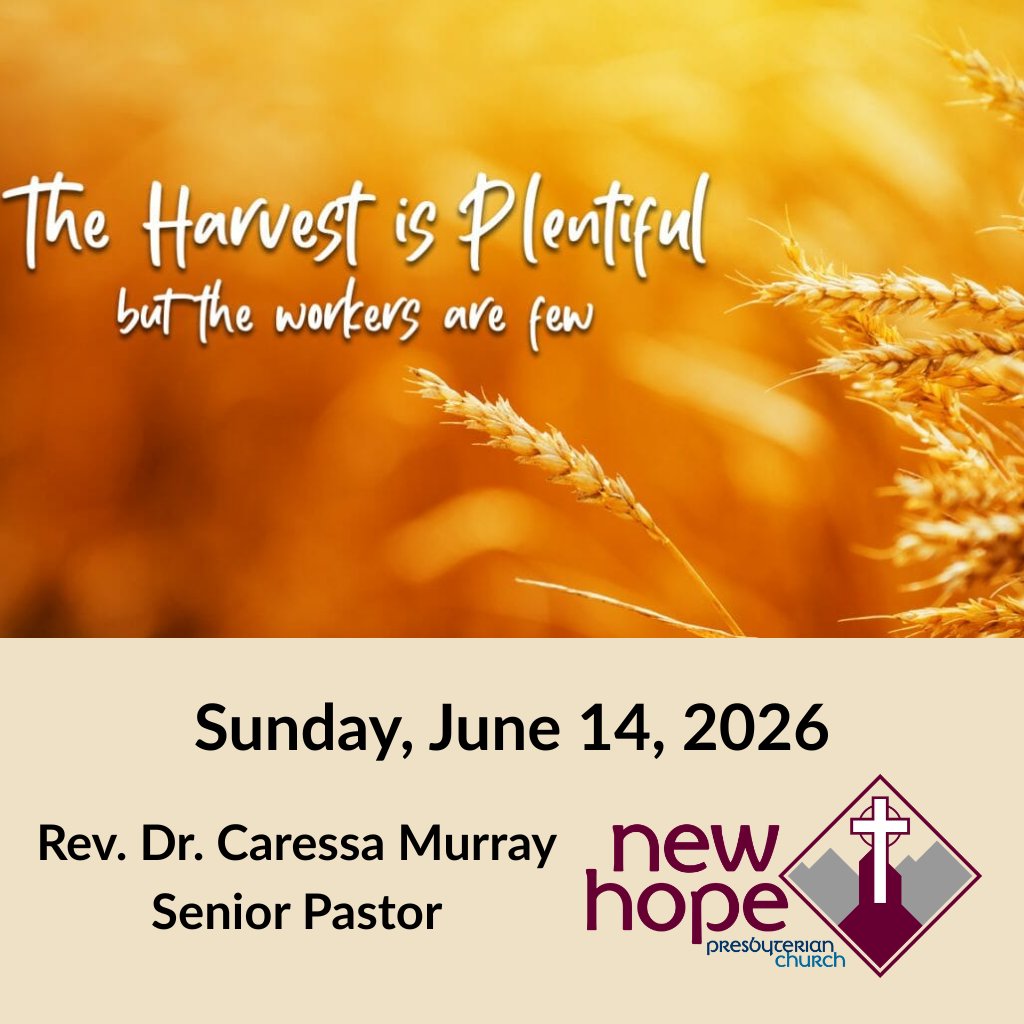 Sunday Worship episode artwork