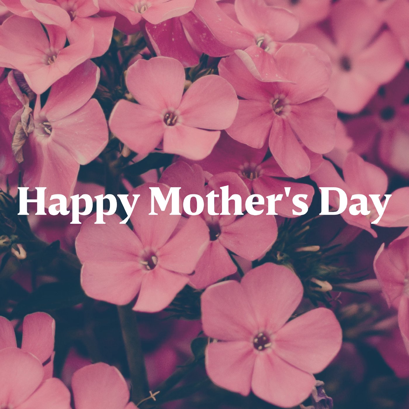 Mother's Day Sunday episode artwork