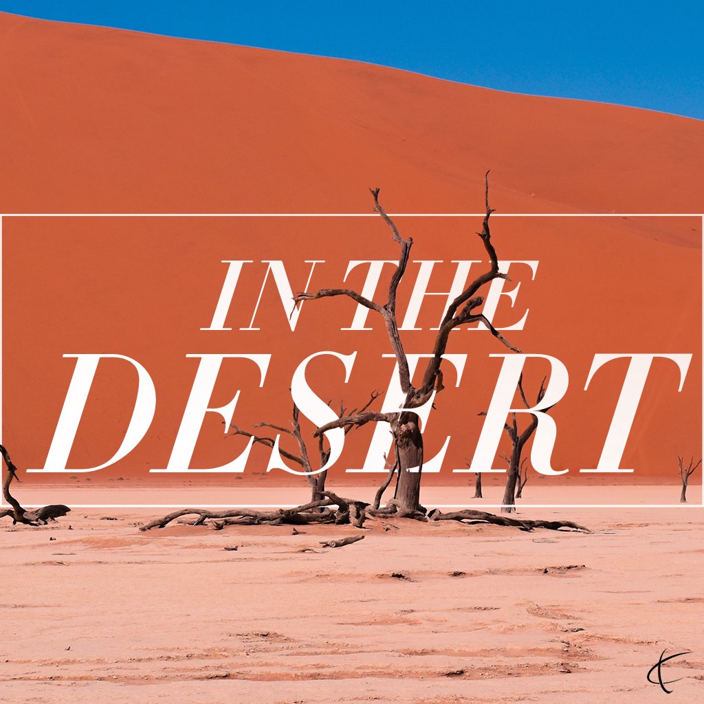 In the Desert episode artwork