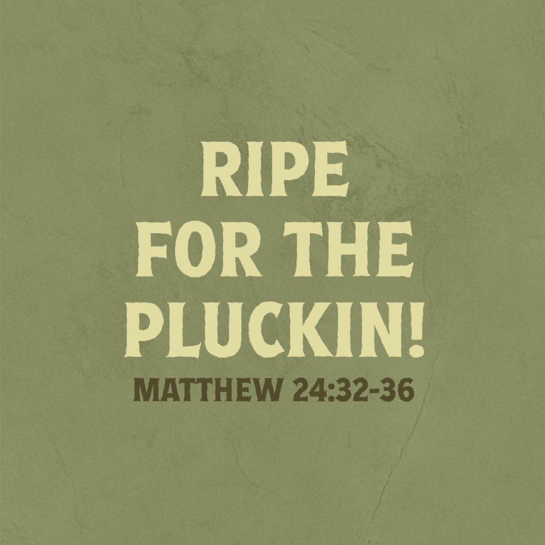 Ripe for the Pluckin!