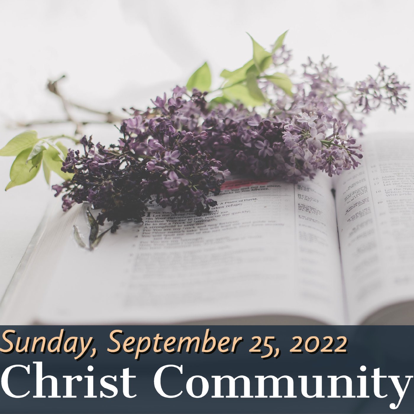 Christ Community Gainesville