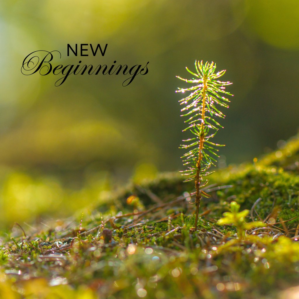 New Beginnings episode artwork