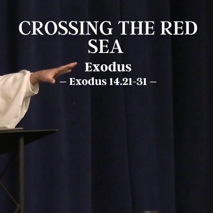 Crossing the Red Sea | Exodus episode artwork