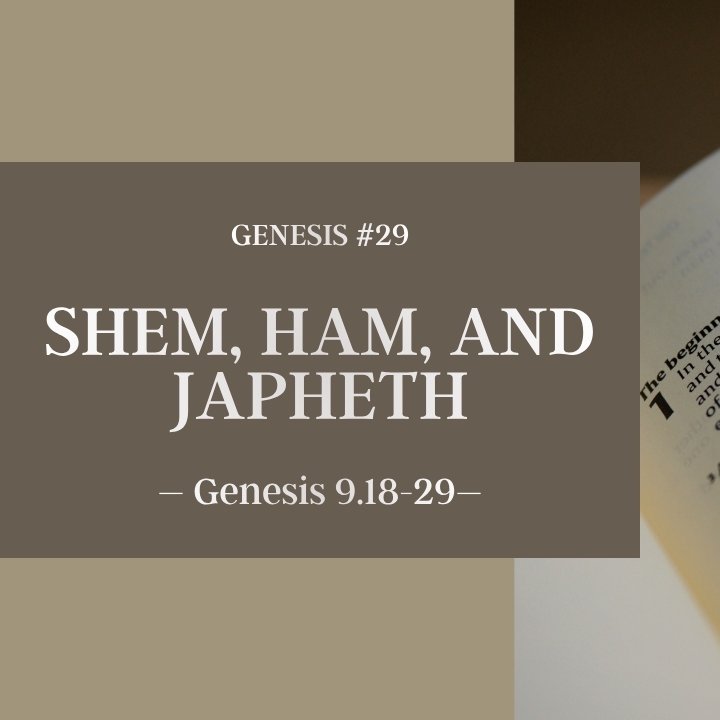 Shem, Ham, and Japheth | Genesis #29 episode artwork