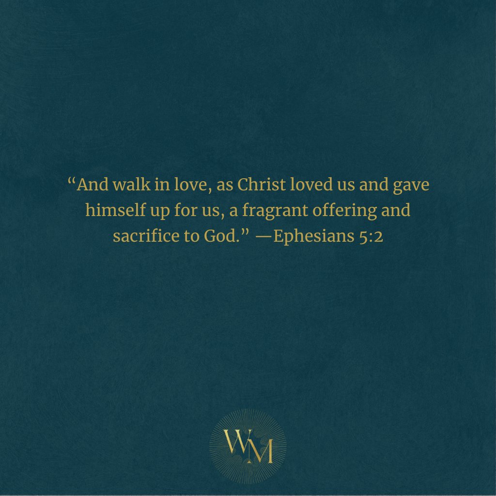 What is our great effort this Christmas season? What is our great effort this Christmas season?