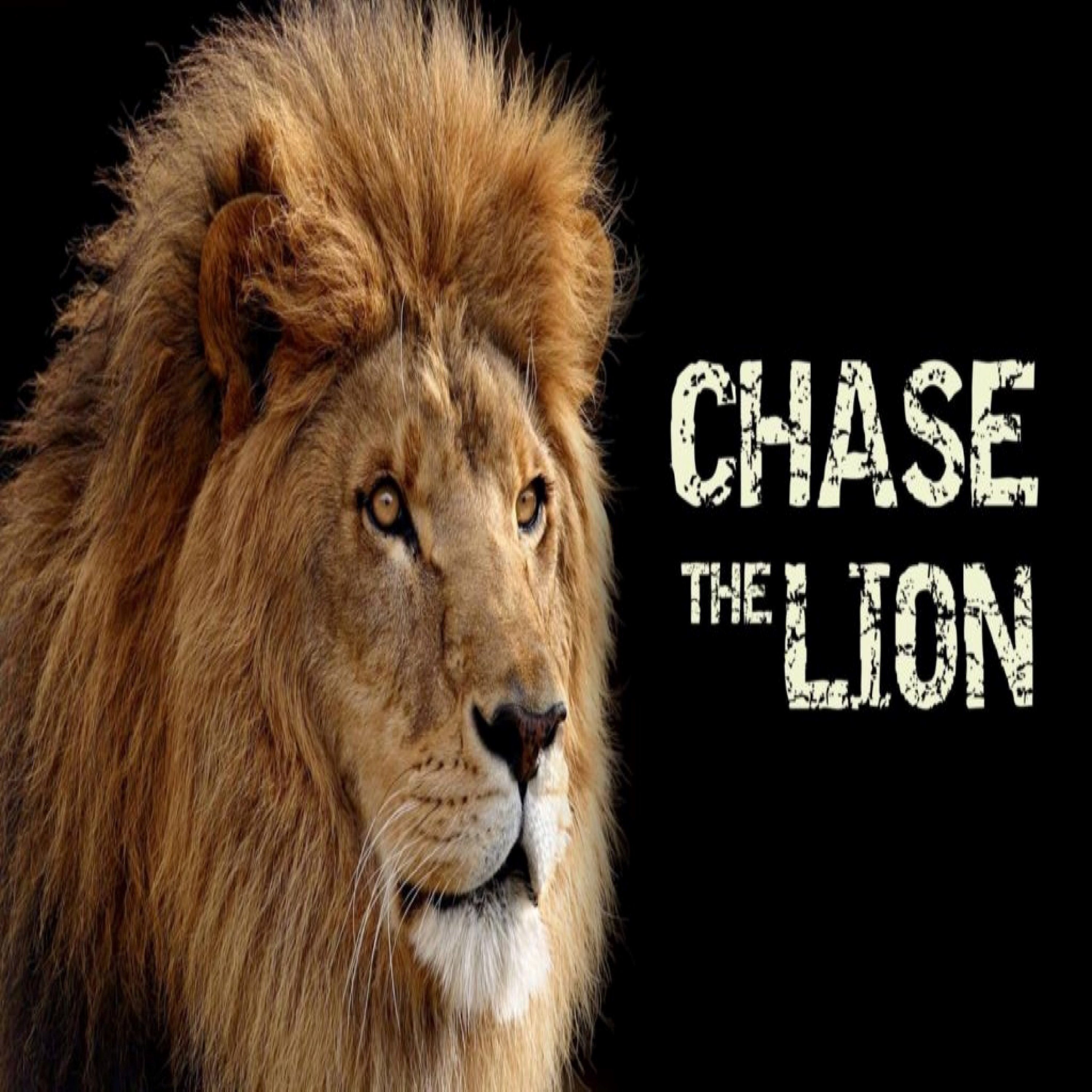 Chase the Lion