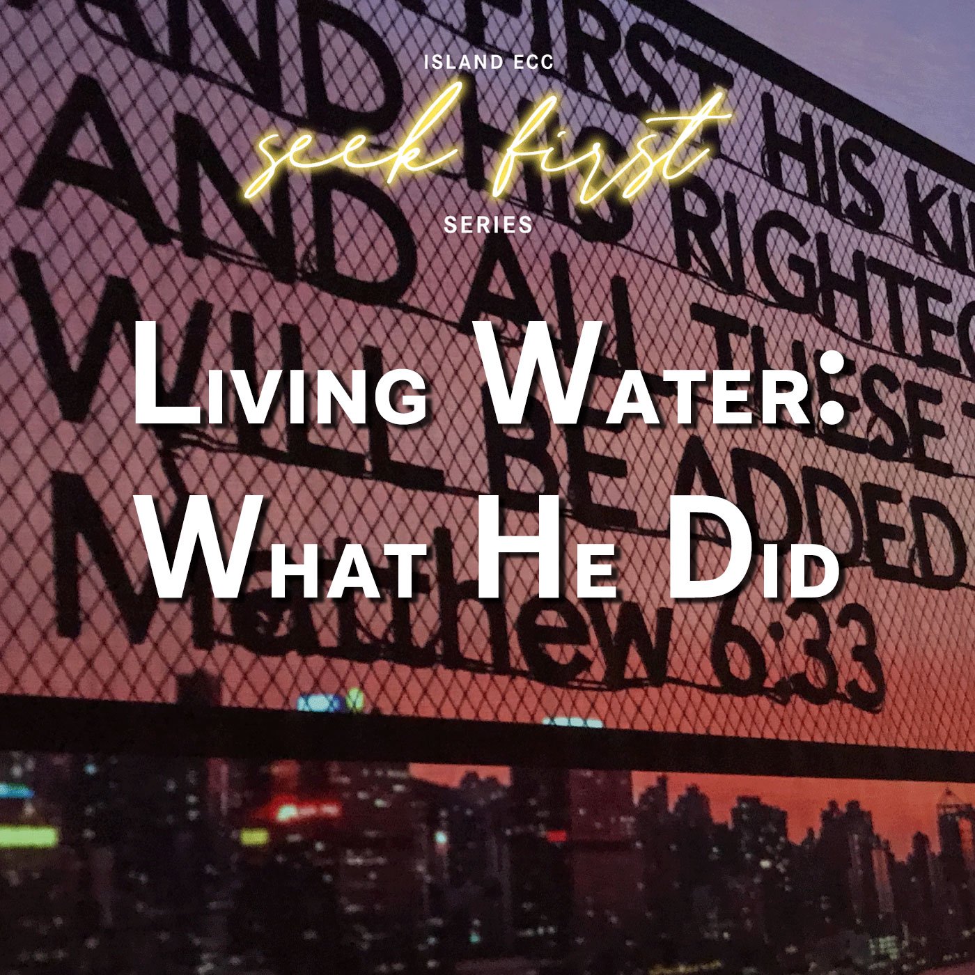 Seek First: What He Did episode artwork