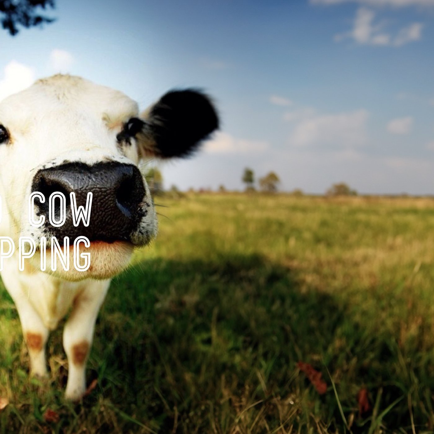 Cow Tipping Part 4 - Online Worship with Sound.Church