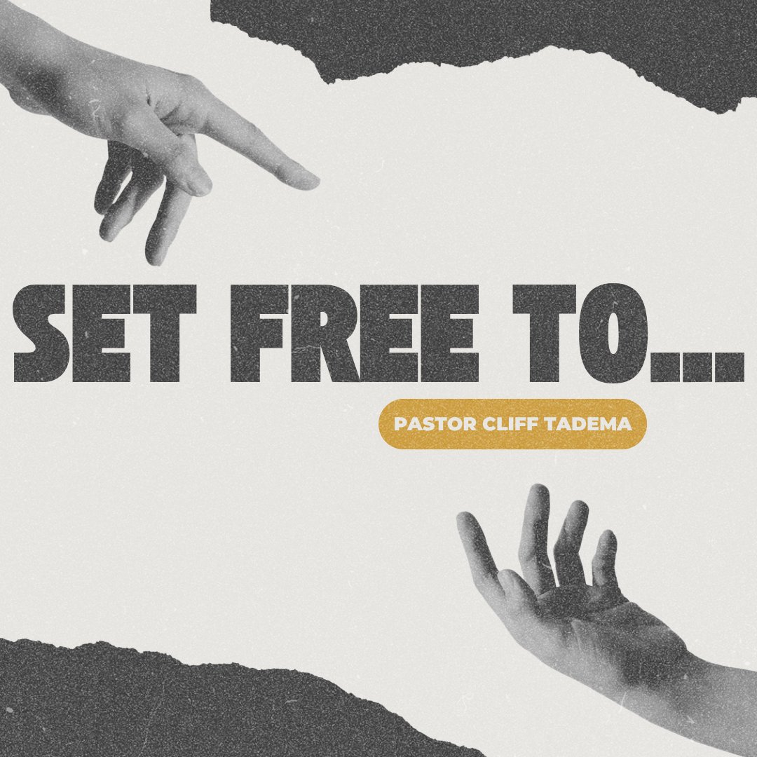 Set Free To...