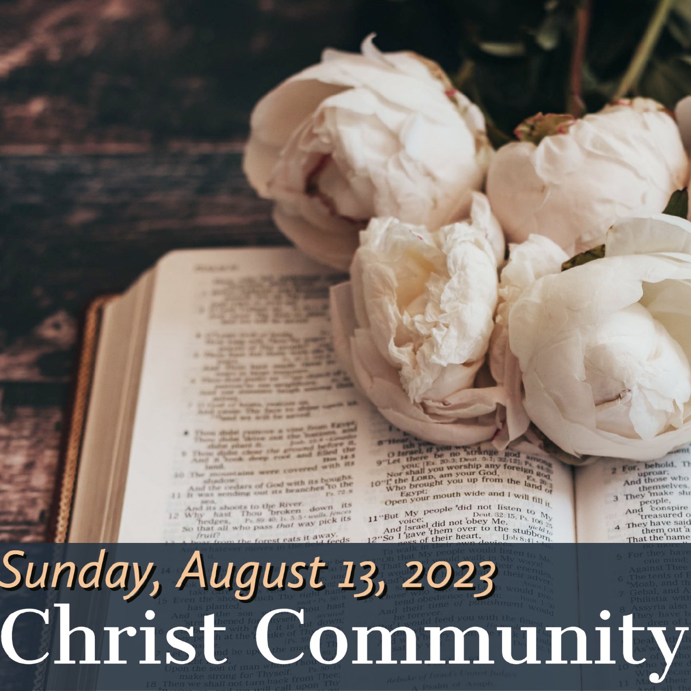 Christ Community Gainesville