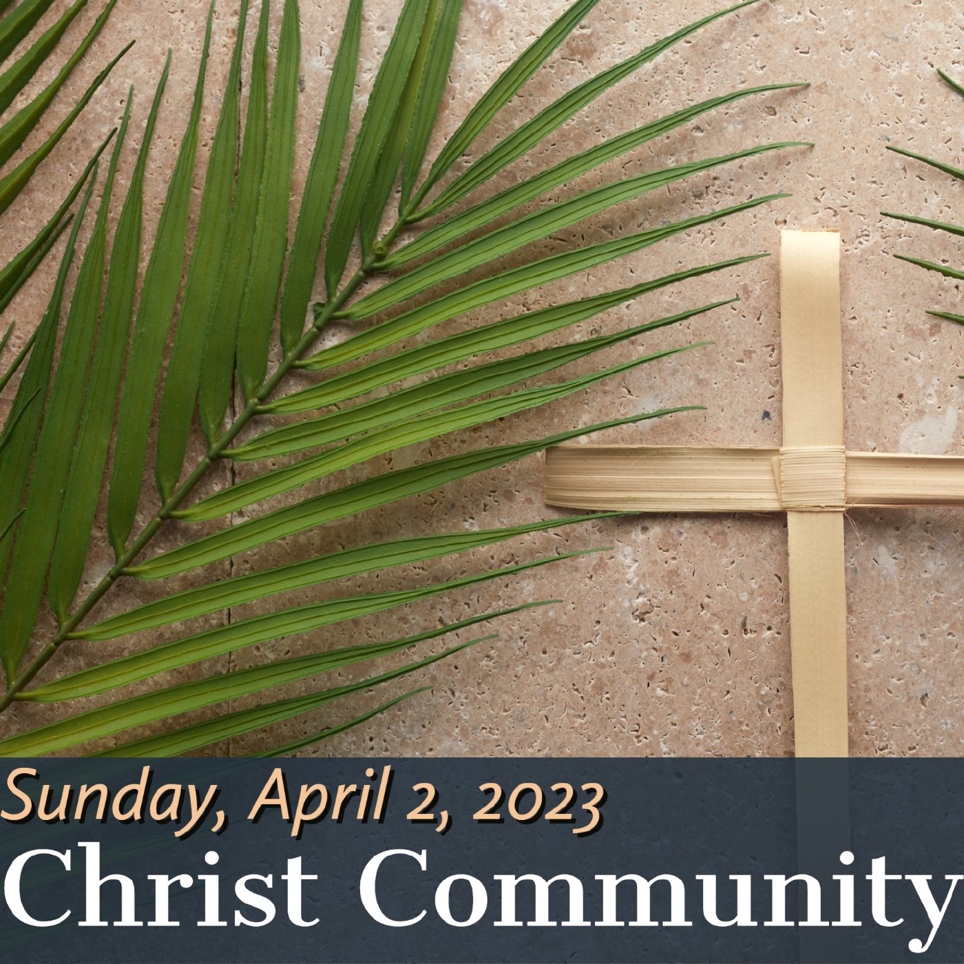 Christ Community Gainesville
