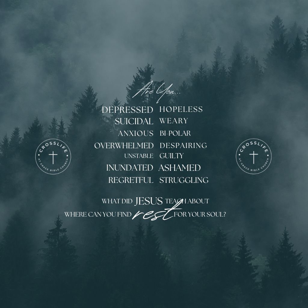 Where Can We Find Rest in this Life and the Next? episode artwork