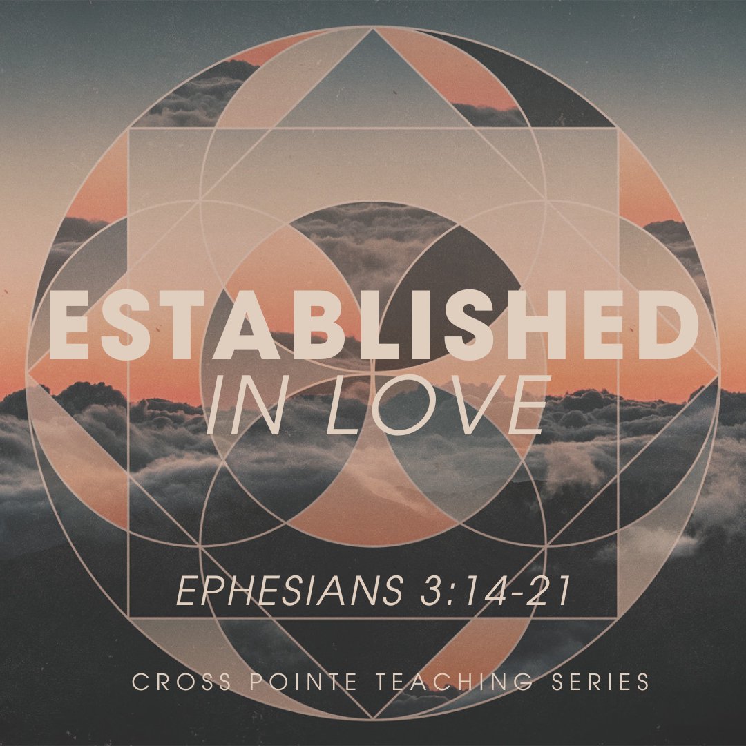 Established - Week 4