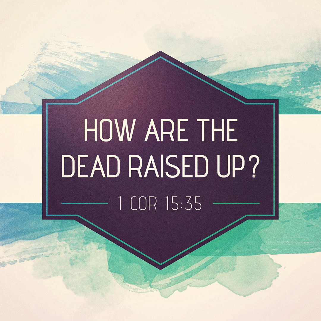 How Are the Dead Raised Up? episode artwork