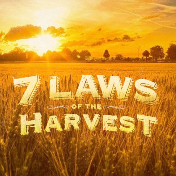 Laws 4 & 5 episode artwork