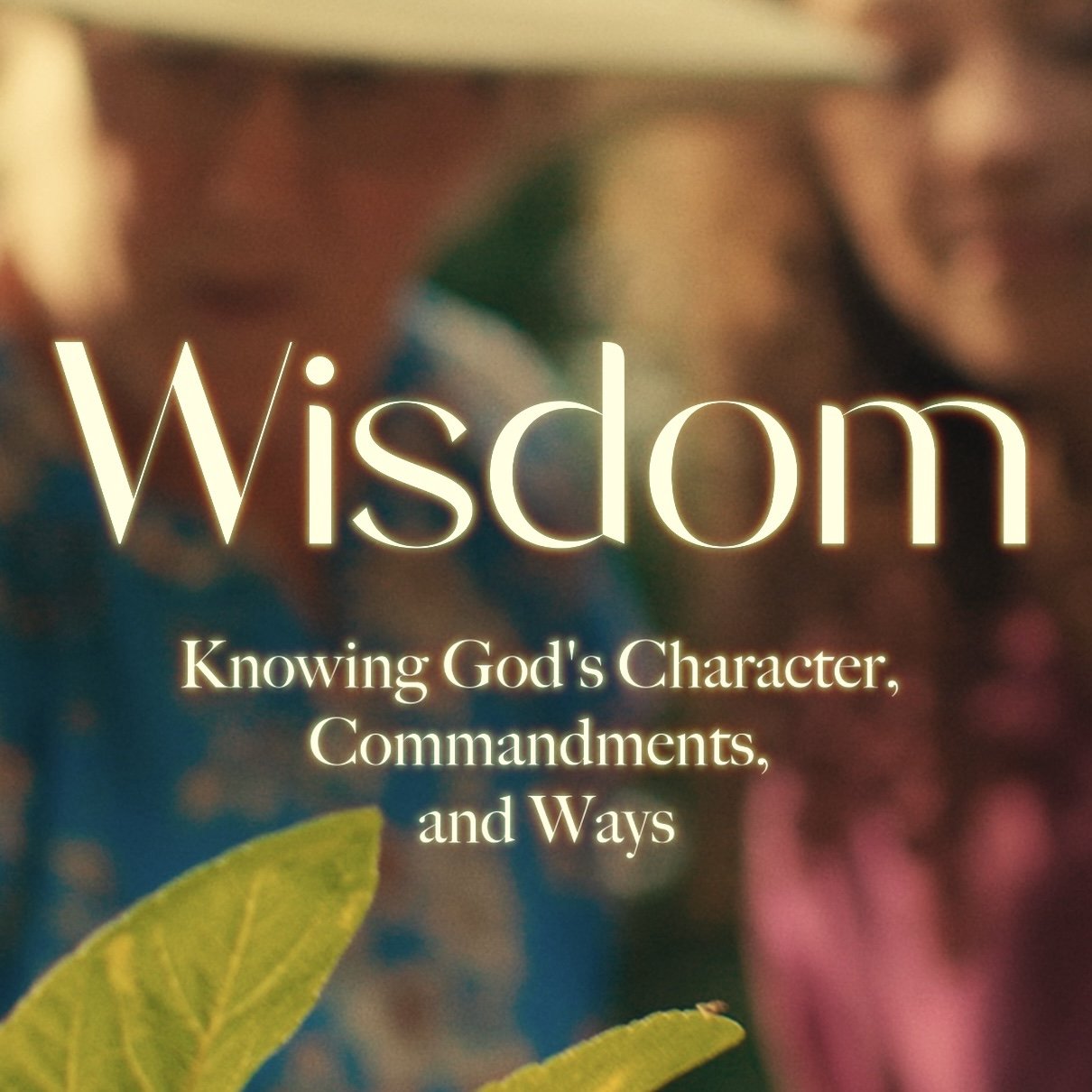 Wisdom | Experiencing the Lord's Discipline episode artwork