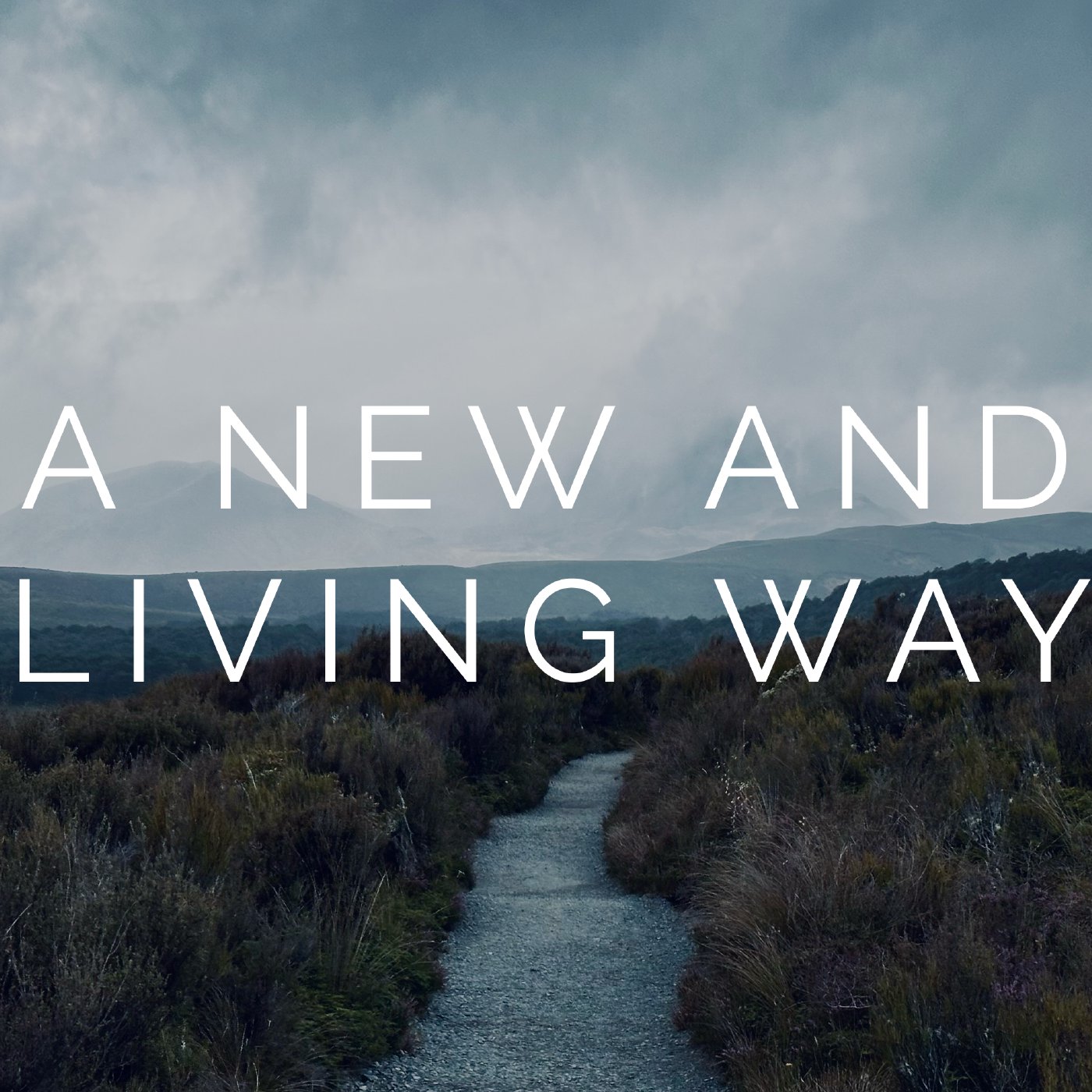A New and Living Way — Week 4
