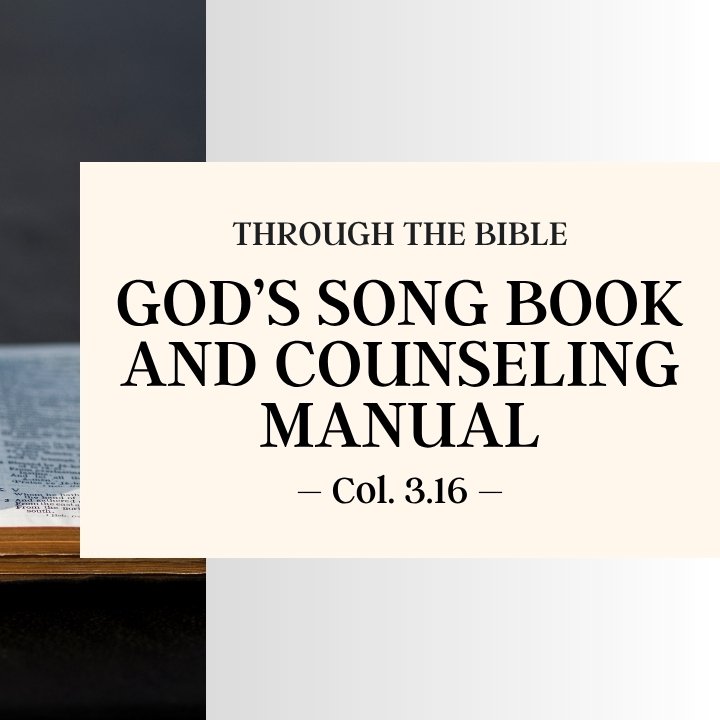 The Psalter: Gods Song Book and Counseling Manual | Through the Bible episode artwork