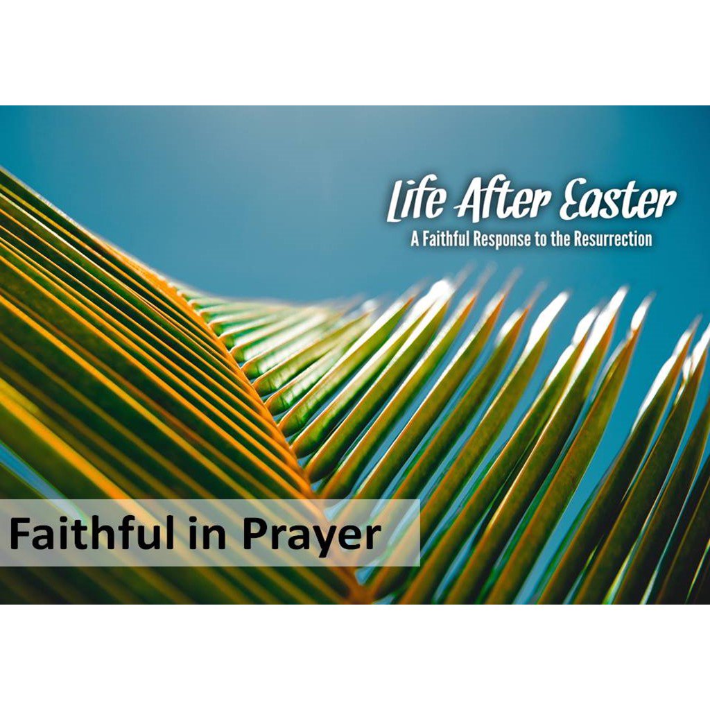 05-05-19: Faithful in Prayer episode artwork