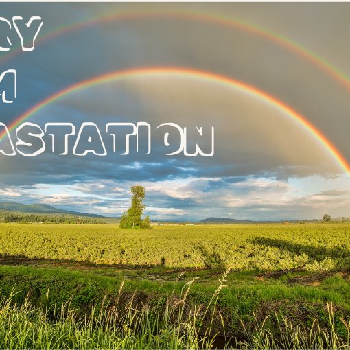 After the Flood // Glory from Devastation