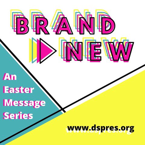 Dripping Springs Presbyterian Church