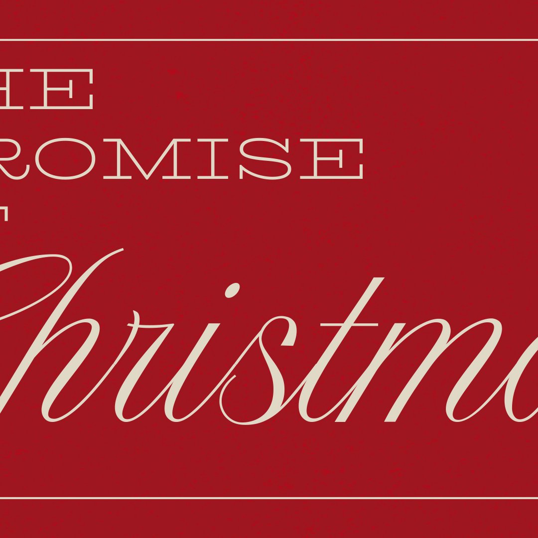 Interrupted Toward Peace | PJ Summers Interrupted Toward Peace | PJ Summers