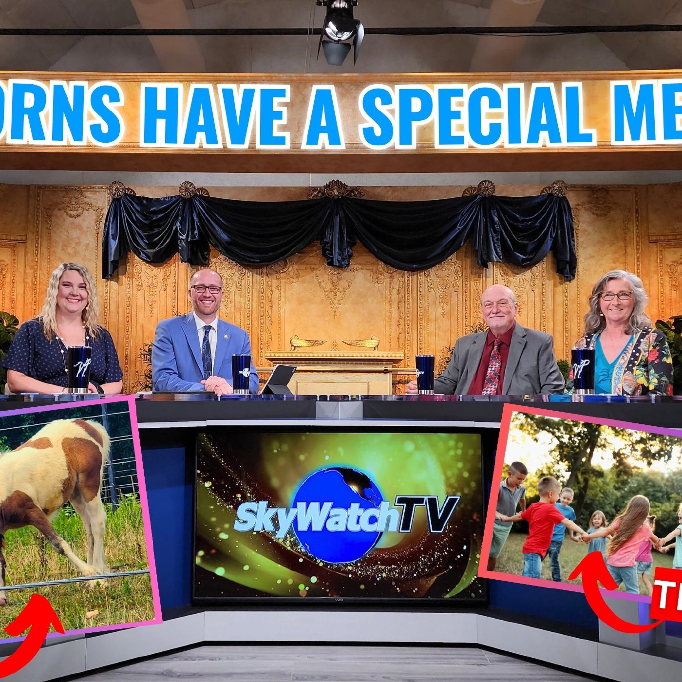 SkyWatchTV