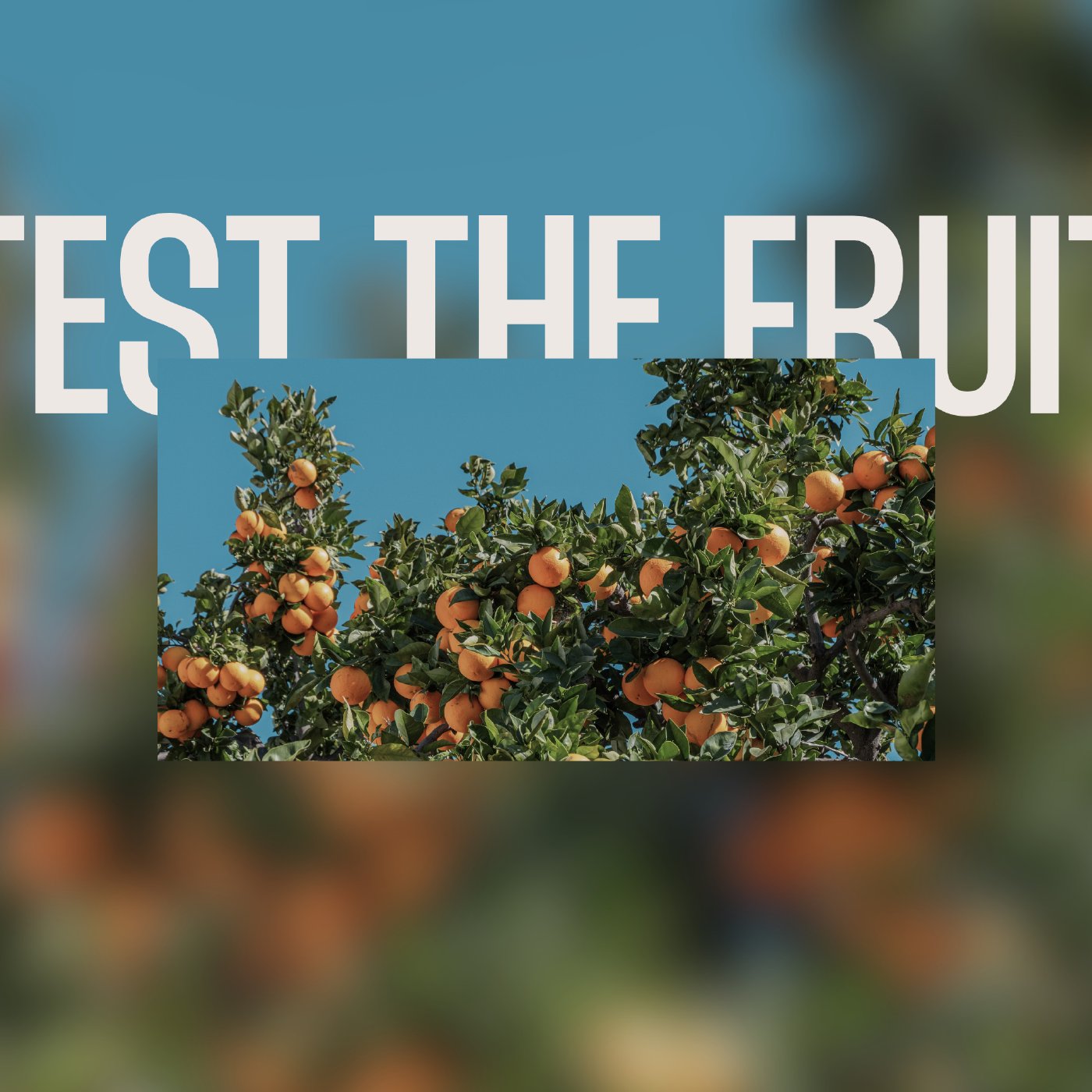 Test The Fruit episode artwork