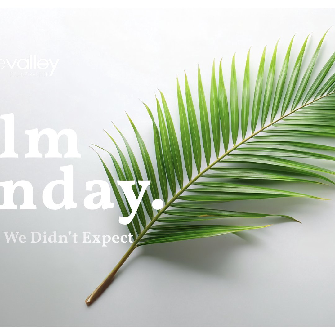 Palm Sunday 2025