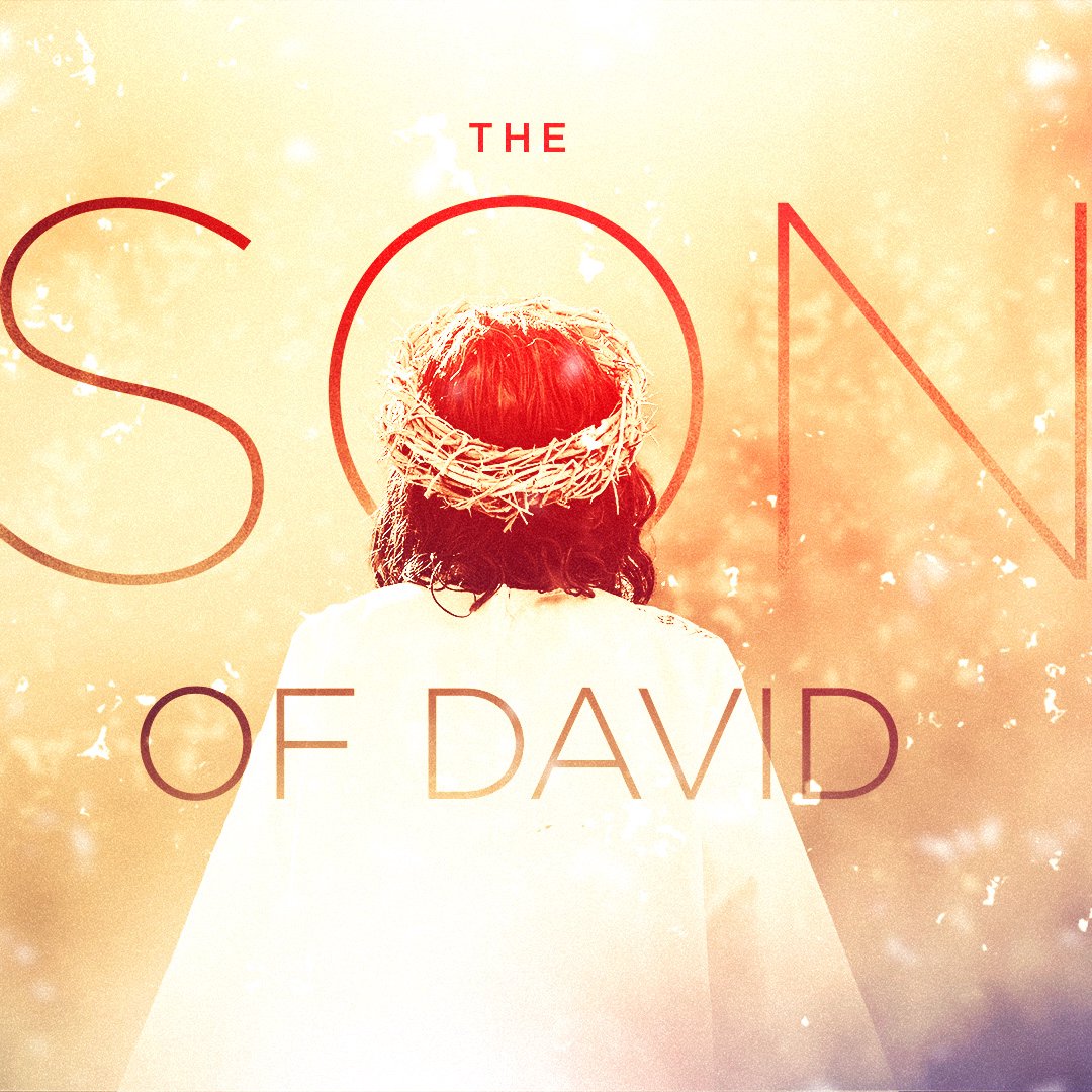 The Son of David episode artwork