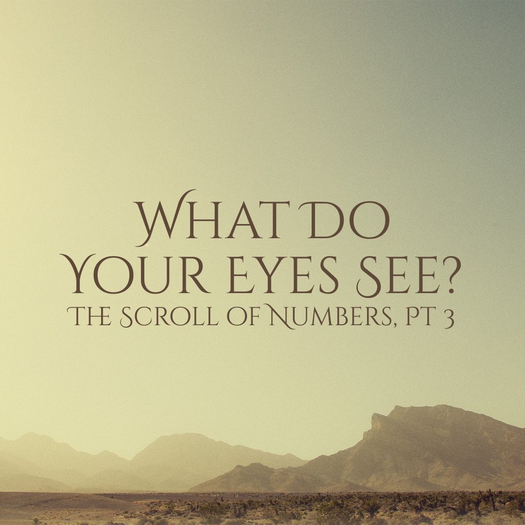 What Do Your Eyes See?