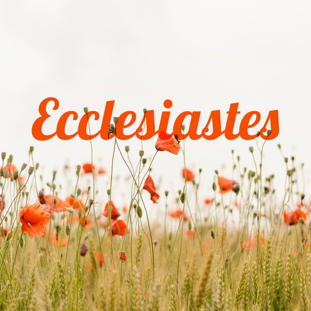 Ecclesiastes 10 episode artwork