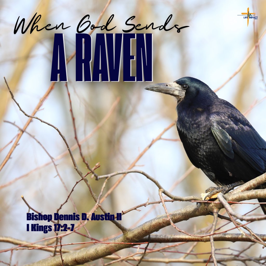 When God Sends A Raven episode artwork