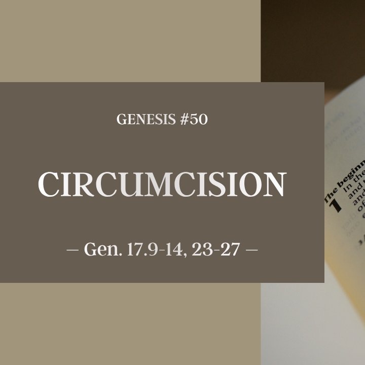 Circumcision | Genesis #50 episode artwork