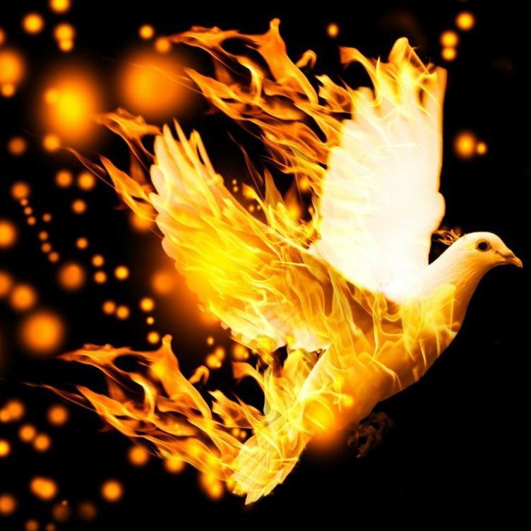 .::Predicaciones - Estudios Biblicos - Sermon::. ~