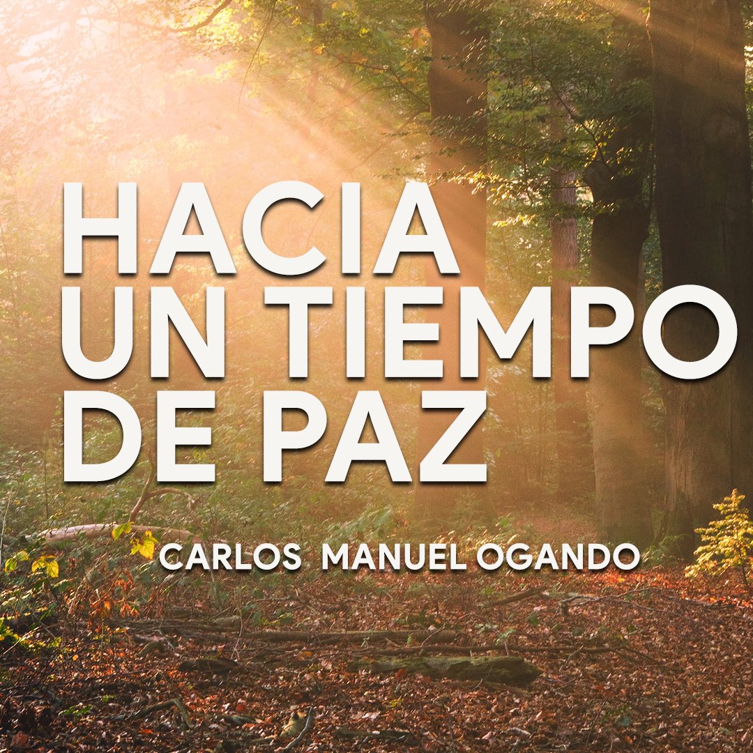 Hacia un Tiempo de Paz #2