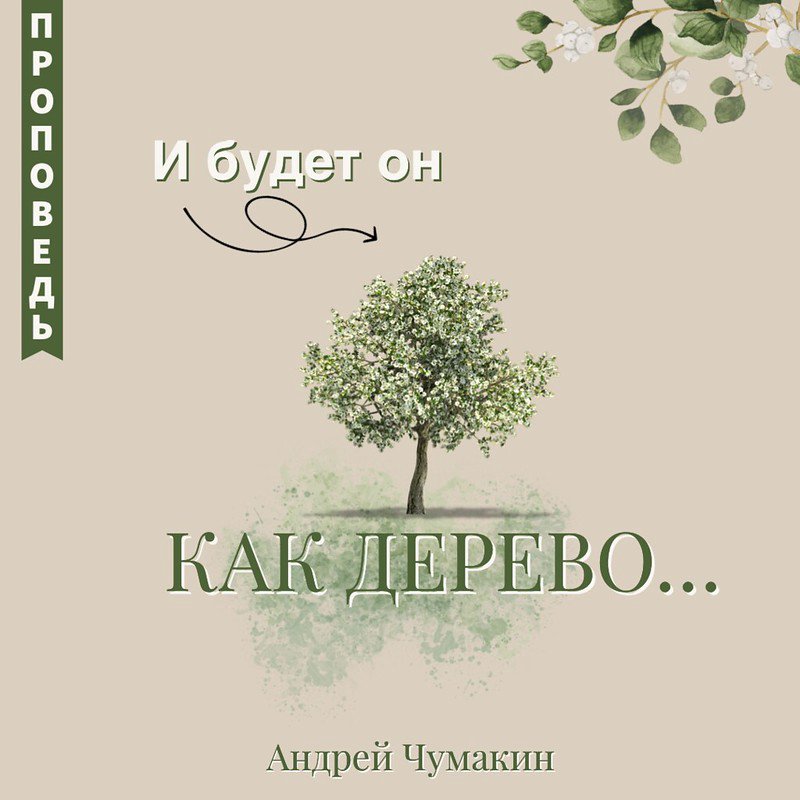 И будет он как дерево 🌳 — Андрей П. Чумакин episode artwork