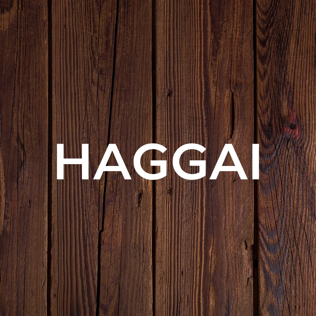 Haggai episode artwork