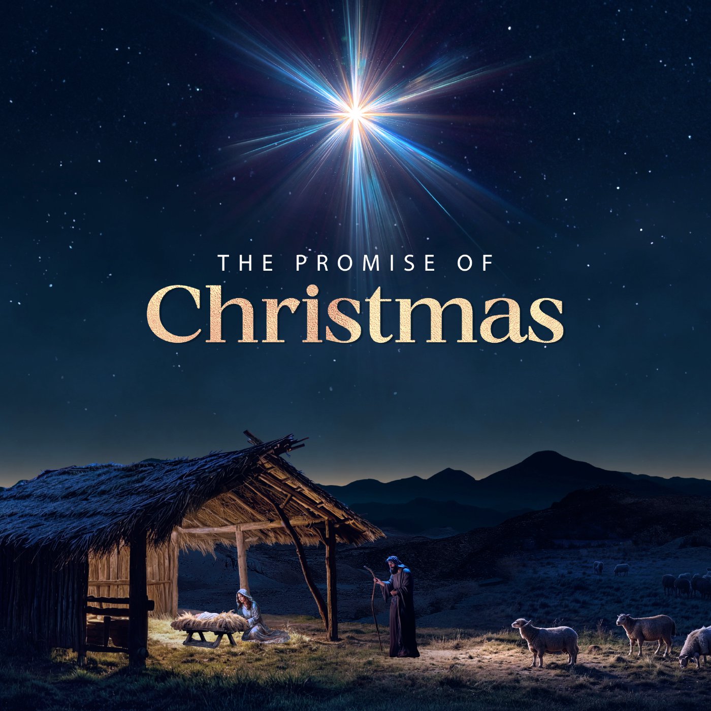 The Promise of Hope episode artwork