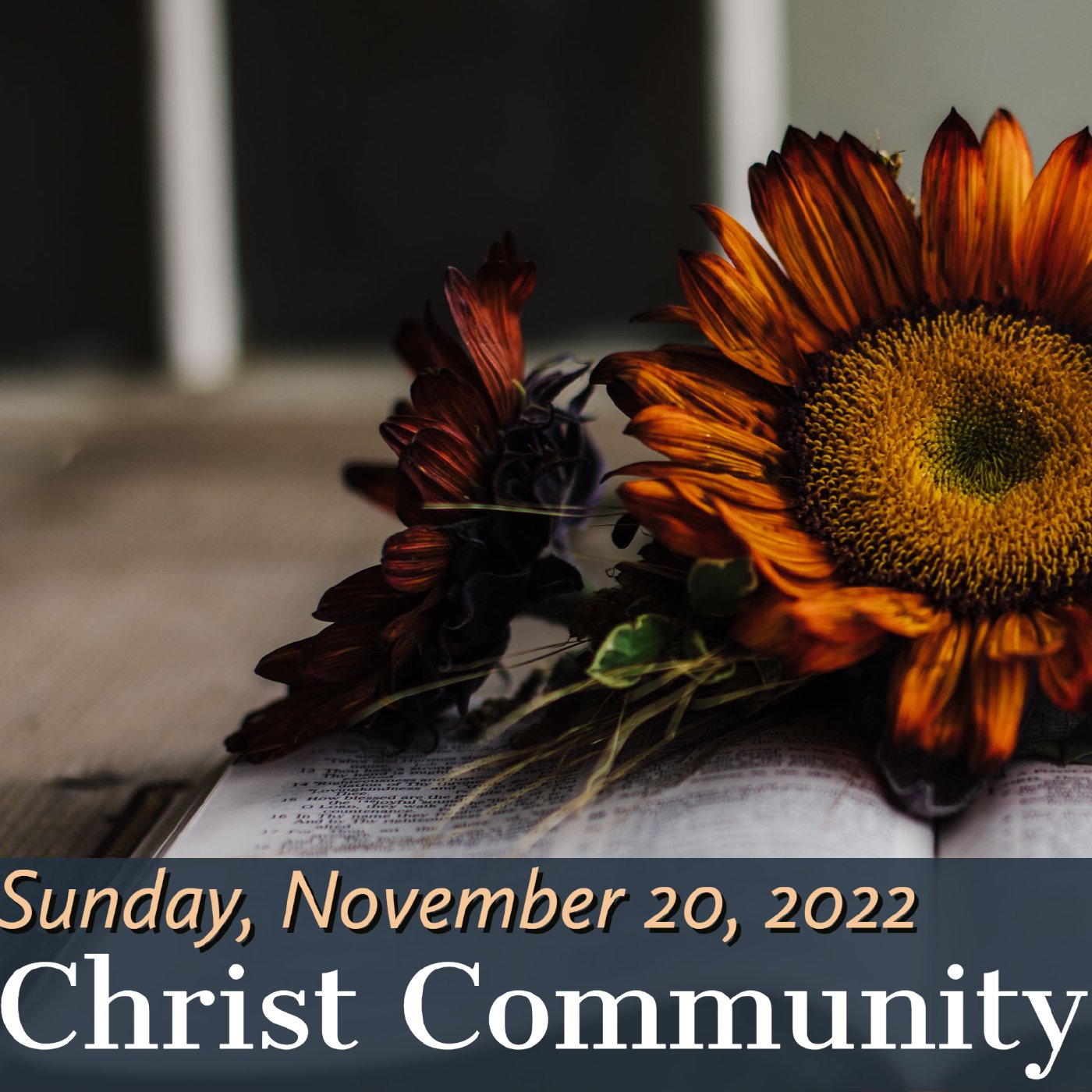 Christ Community Gainesville