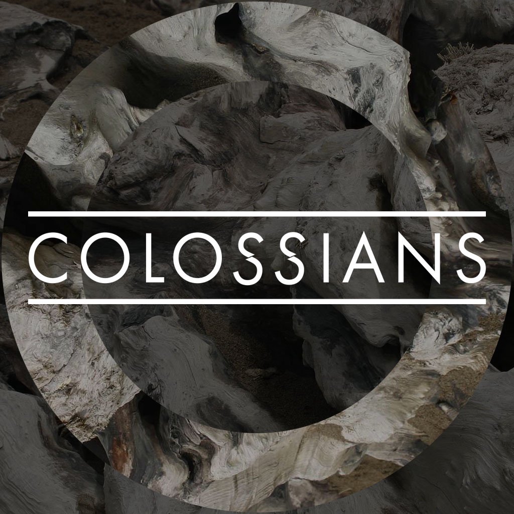 3/10/19 - Rooted in God's Design for Marriage