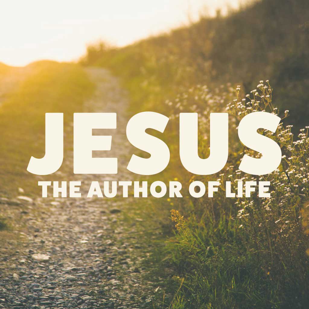 Jesus Saves Hopeless and Hostile Sinners Who Repent [Ken Lewis] episode artwork