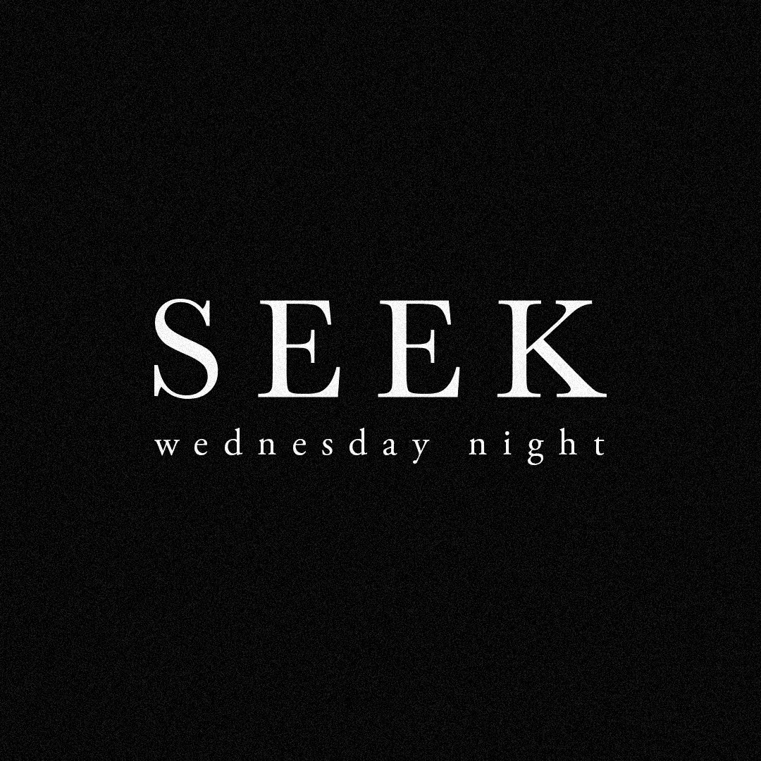 Seek | June 2019 episode artwork