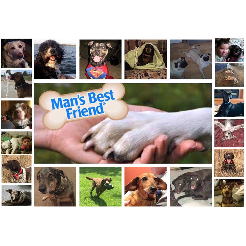 02-11-18: Man's Best Friend Part 2 episode artwork